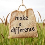 The GreenBag Movement